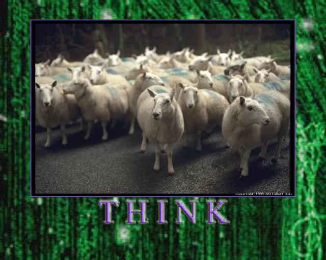 Think Sheep or Else
